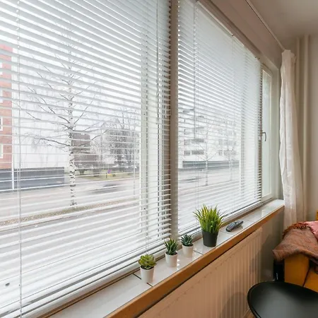 Renovated Bright Studio, Free Wifi, City Center Apartment